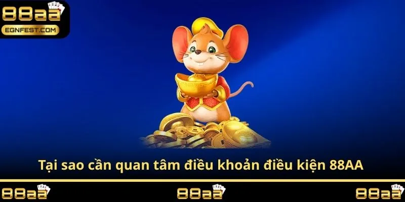 Tại sao cần quan tâm điều khoản điều kiện 88AA